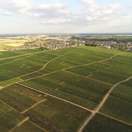 Les Portes Du Vignoble Nuits-Saint-Georges Exteriör bild